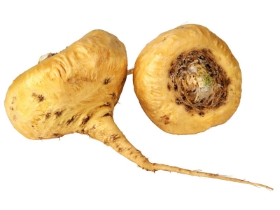 Le erbe e le vitamine amiche della fertilità