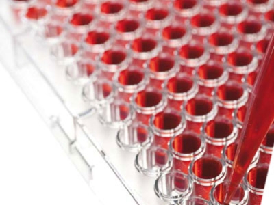 Cellule staminali, cosa ne sanno gli Italiani