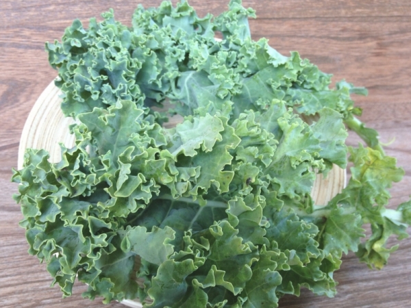 Chips di cavolo riccio con l&#039;essiccatore