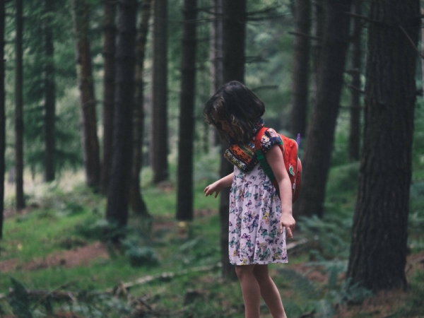 Le caratteristiche degli asili steineriani