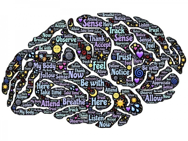 Quando la scuola abbraccia la Mindfulness