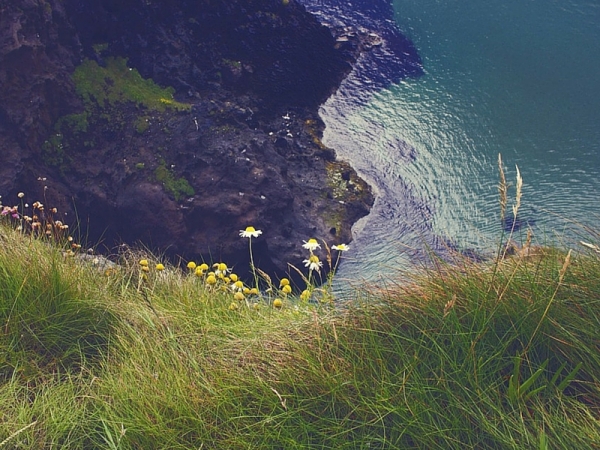 Vacanza studio, cultura e natura in Irlanda per tutta la famiglia