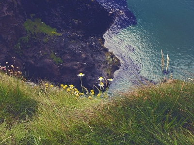 Vacanza studio, cultura e natura in Irlanda per tutta la famiglia