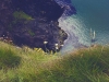 Vacanza studio, cultura e natura in Irlanda per tutta la famiglia